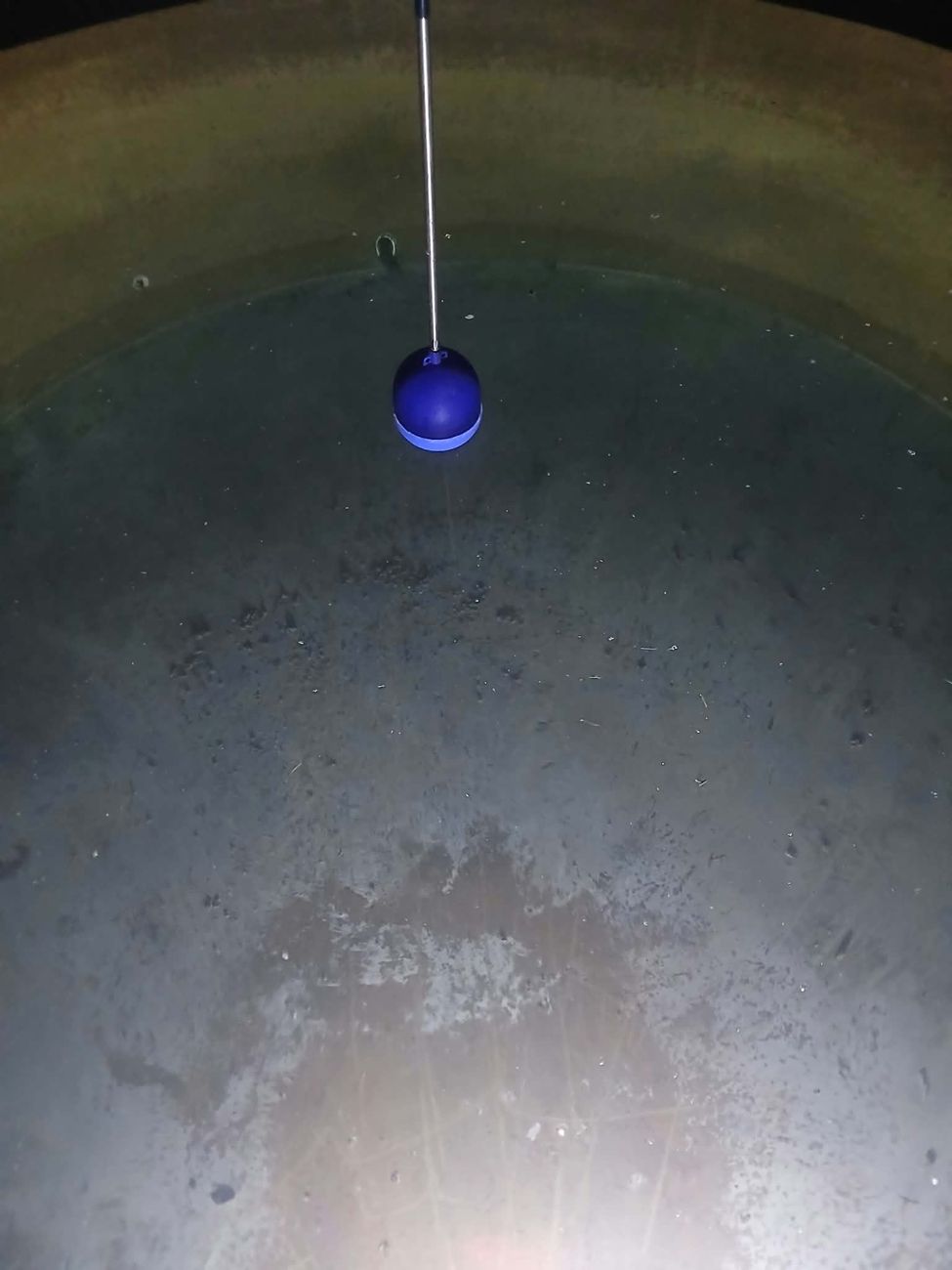 After cleaning — tank floor and float assembly